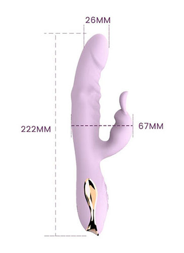 Paramètres du masseur vaginal féminin
