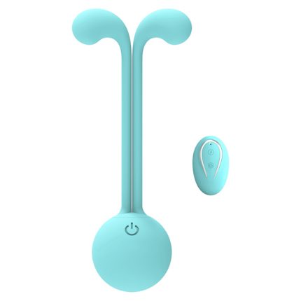 vibrateur portable télécommandé